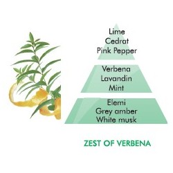 Zest of Verbena Fragrance