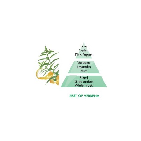 Zest of Verbena Fragrance