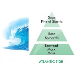 Atlantic Tide Fragrance