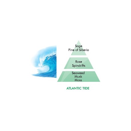 Atlantic Tide Fragrance