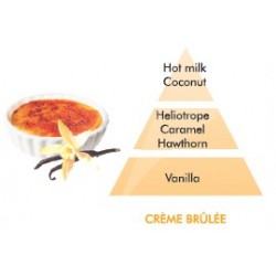 Creme Brulee  Fragrance