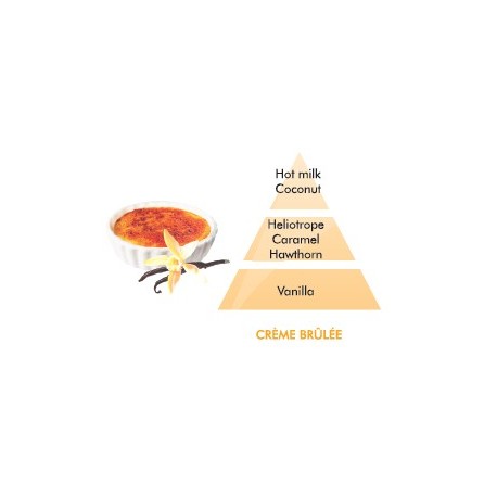 Creme Brulee  Fragrance