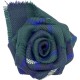 Tartan Rose Brooch - Douglass