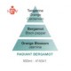Radient Bergamot Fragrance