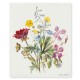 Swedish Dishcloth Wildflowers