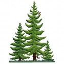 Spruce Trees Stand-up Pewter Decoration