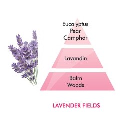 Lavender Fields Fragrance
