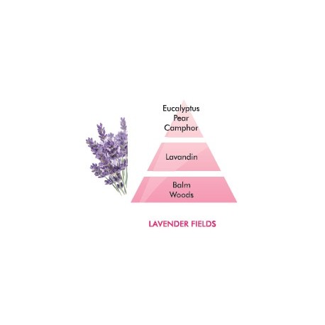 Lavender Fields Fragrance